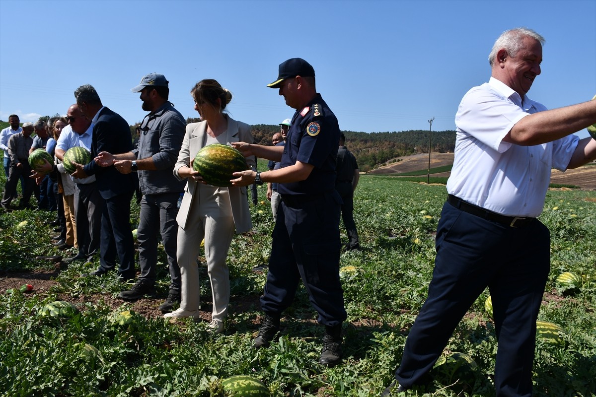 Bilecik'in Osmaneli ilçesinde, 28 Haziran'da çıkan orman yangınlarında evleri kullanılamaz hale...