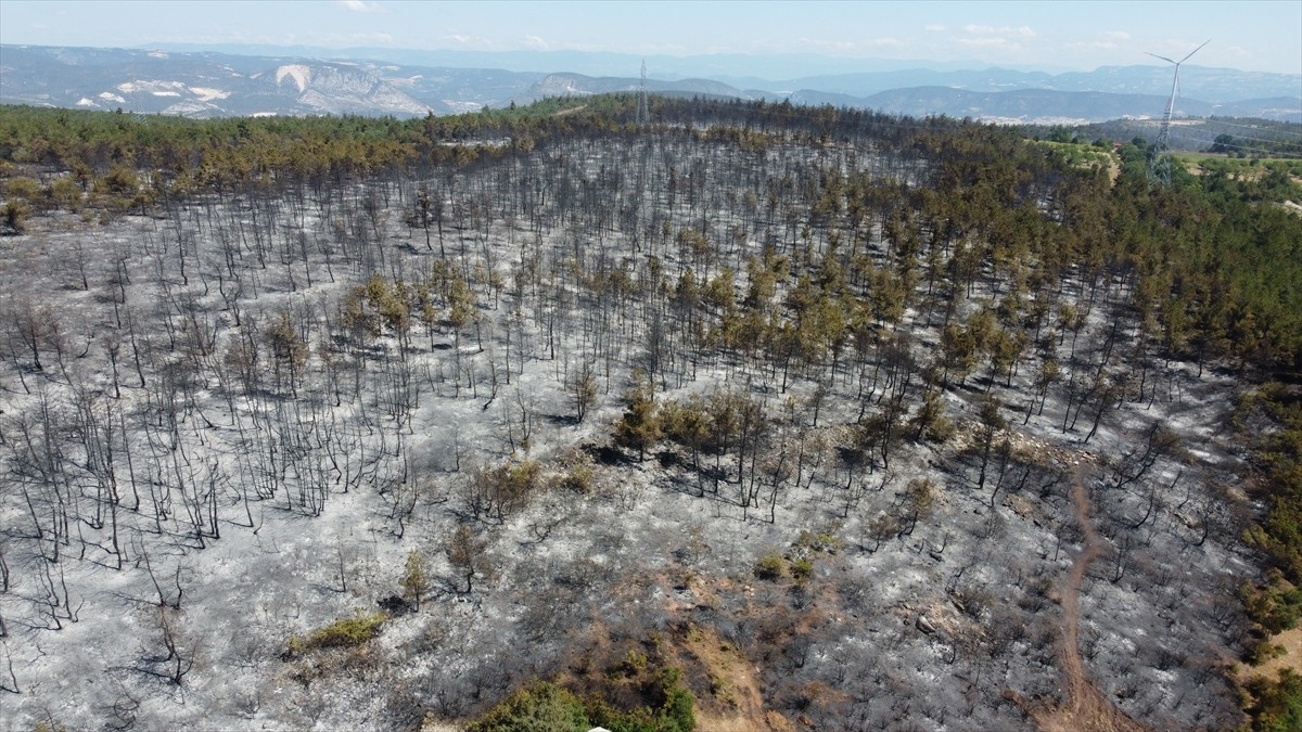 Bilecik'in Vezirhan beldesinde çıkan, havadan ve karadan müdahaleyle kontrol altına alınan orman...