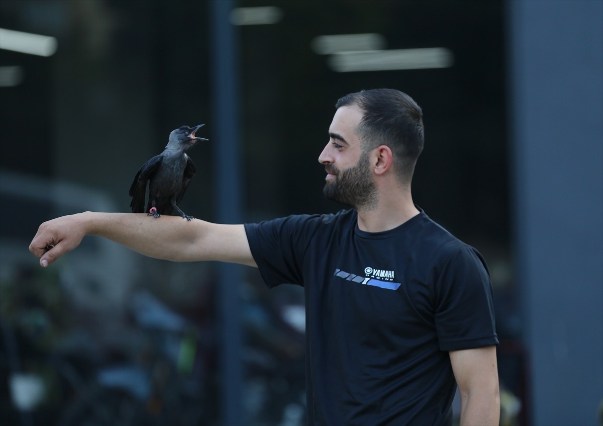 Bingöl'de motosiklet teknisyeni Mesut Aksoy'un, ölmek üzereyken ilgilenip sahiplendiği ve "Şimşek"...