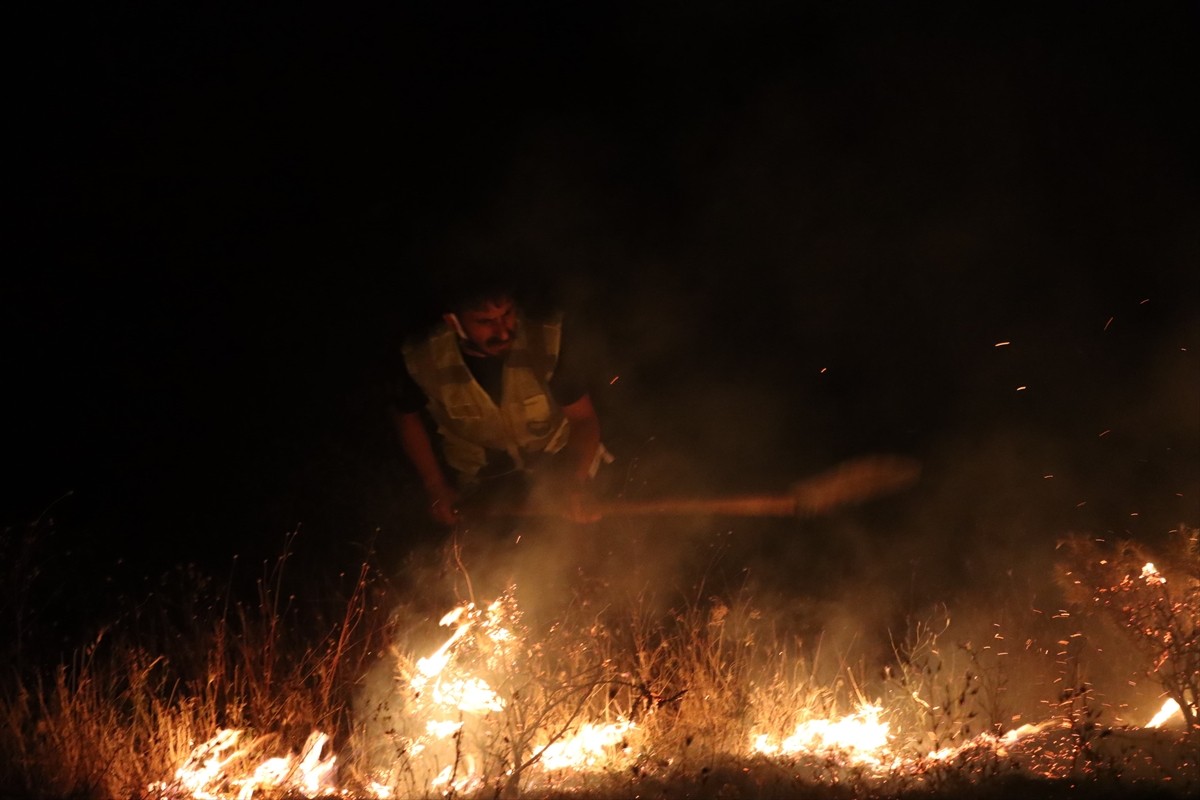 Bingöl'ün Genç ilçesinde ormanlık alanda çıkan yangın, ekiplerin müdahalesiyle...