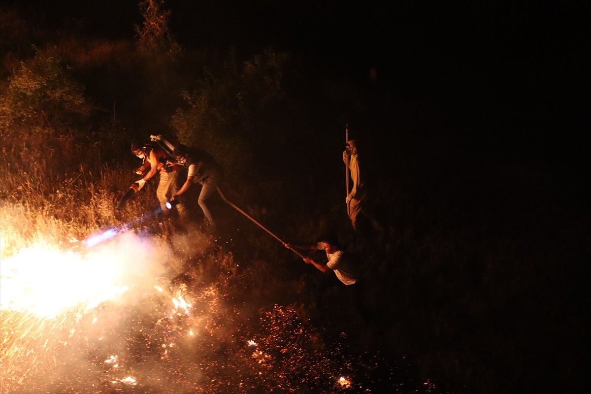 Bingöl'ün Genç ilçesinde ormanlık alanda çıkan yangın, ekiplerin müdahalesiyle...