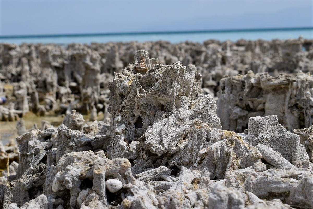 Bitlis'in Adilcevaz ilçesinde Yukarı Deniz Derneği üyesi dalgıçlar, Van Gölü'nün derinliklerinde...