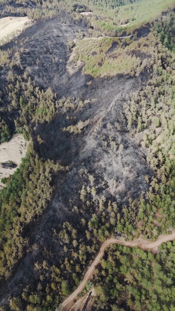 Bolu'nun Göynük ilçesinde çıktıktan sonra havadan ve karadan müdahaleyle söndürülen yangında zarar...