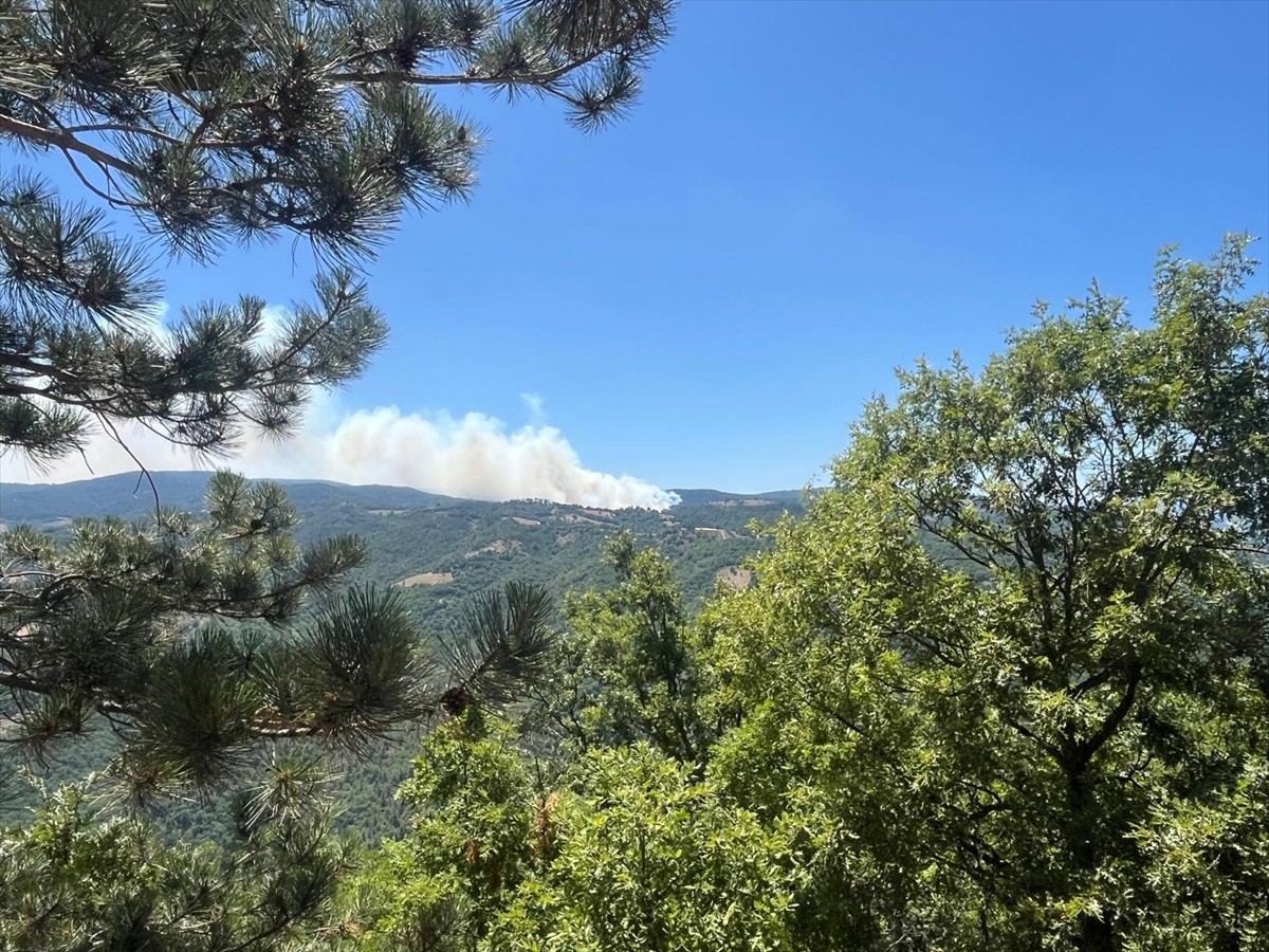 Bursa'nın Mustafakemalpaşa ilçesindeki ormanlık alanda çıkan yangına havadan ve karadan müdahale...