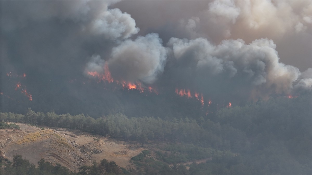 Bursa'nın Orhaneli ilçesinde dün çıkan ve bugün sabah saatlerinde büyük oranda kontrol altına...
