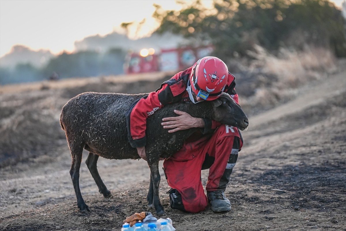 Çanakkale'nin Gelibolu ilçesindeki orman yangınında görevli arama kurtarma gönüllüleri, alevlerin...