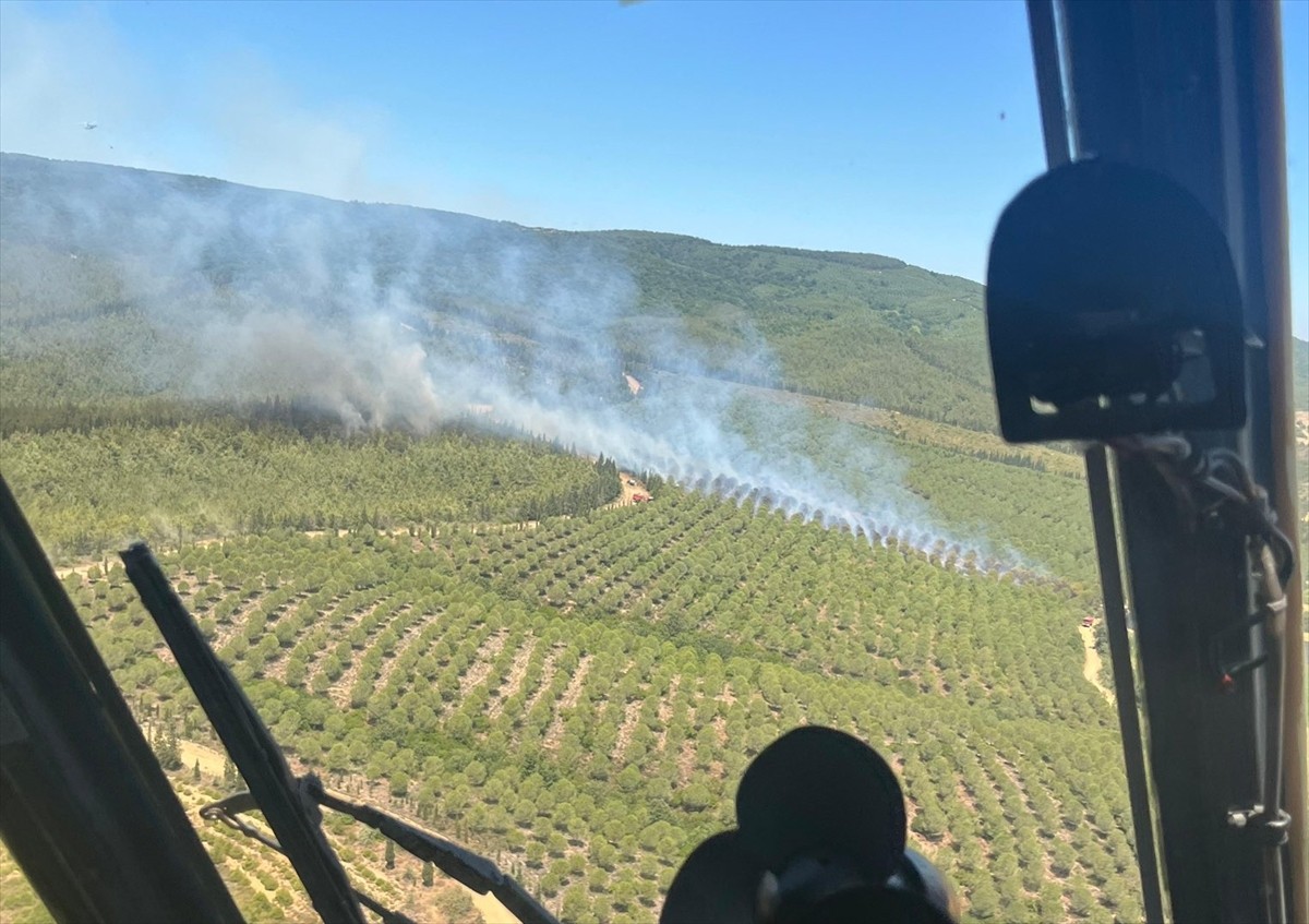 Çanakkale'nin Lapseki ilçesinde tarım arazisinden ormanlık alana sıçrayan yangına havadan ve...