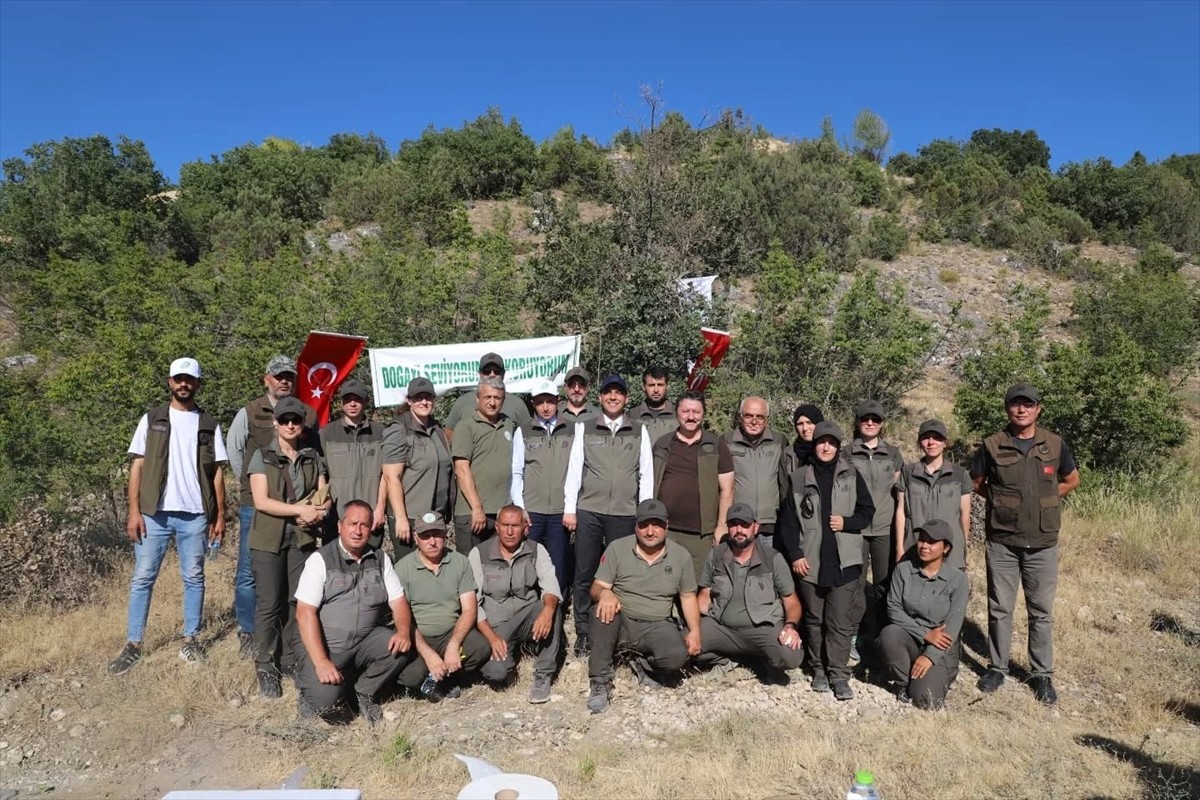 Çankırı'da yaban hayatının korunması ve doğal dengeyi desteklemek amacıyla doğaya 600 kınalı...