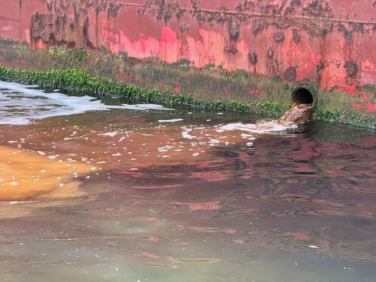 Çevre, Şehircilik ve İklim Değişikliği Bakanlığı, Yalova'da denize atık su deşarj ederek Marmara...
