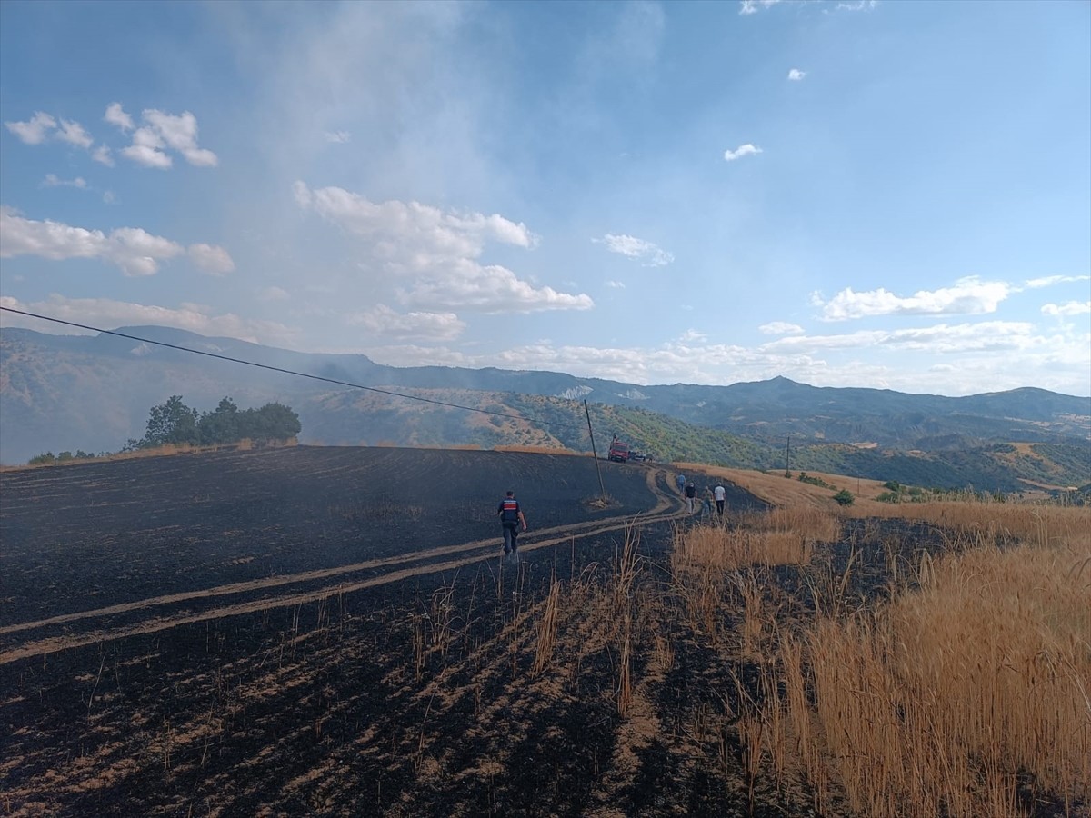Çorum'un Uğurludağ ilçesinde ekili alanda çıkan yangın itfaiye tarafından söndürüldü. Yangında...