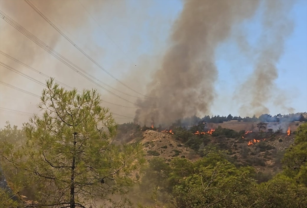 Denizli'nin Çal ilçesinde çıkan orman yangınına havadan ve karadan müdahale ediliyor.