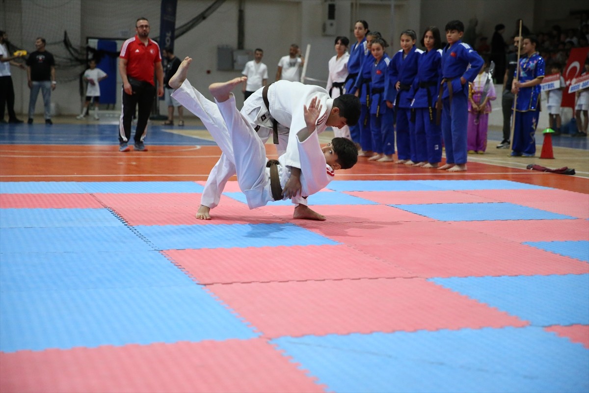 Diyarbakır'da Gençlik ve Spor Bakanlığı (GSB) Spor Okulları ve Engelsiz Spor Okulları'nın açılışı...