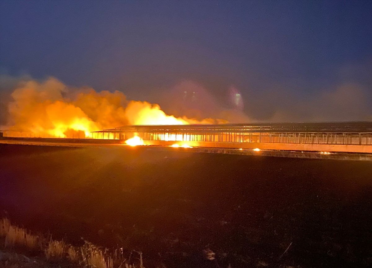 Diyarbakır'ın Eğil ilçesinde kırsal Oyalı Mahallesi'nde tarımsal alanda anız yakılması nedeniyle...