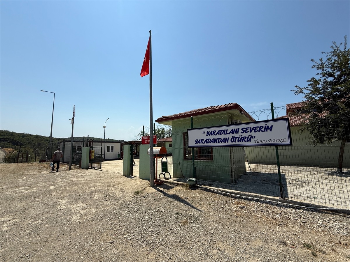 Düzce'de 6 yıl önce faaliyete geçen ve sahipsiz hayvanların tedavi ve rehabilitasyonunun...