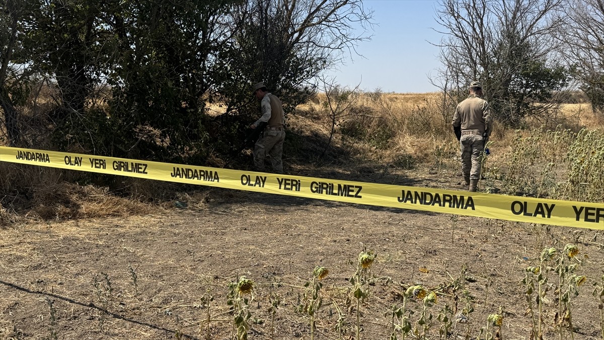 Edirne'de ayçiçeği tarlasında başından tabancayla vurulmuş halde kadın cesedi bulundu. Olay...