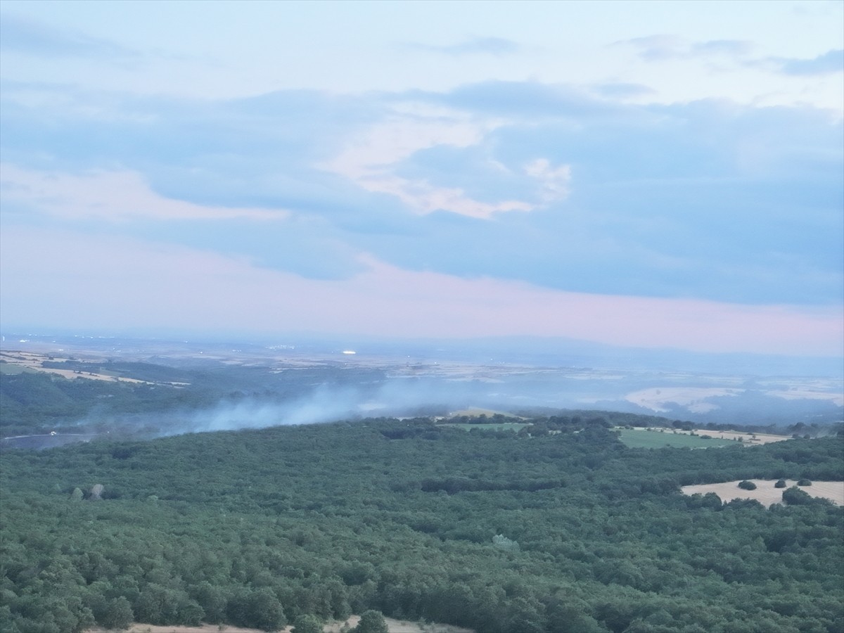 Edirne'nin Kalkansöğüt köyü yakınlarında çıkan orman yangını, ekiplerin müdahalesiyle...