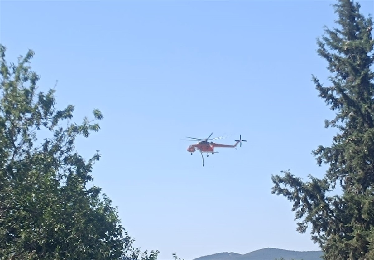 Edirne'nin Keşan ilçesinde çıkan orman yangınına havadan ve karadan müdahale ediliyor. 