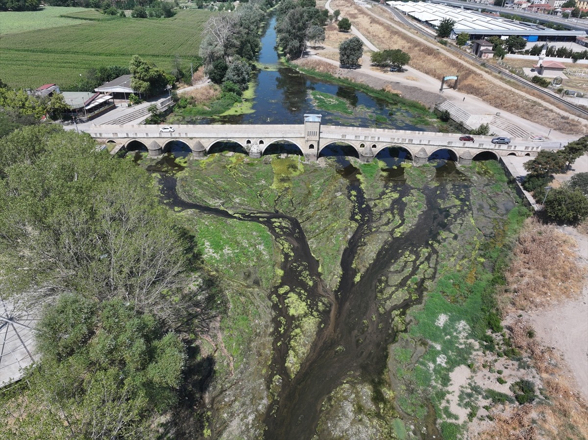 Edirne'nin önemli su kaynaklarından Tunca Nehri'nde, kuraklık ve aşırı sıcaklara bağlı...
