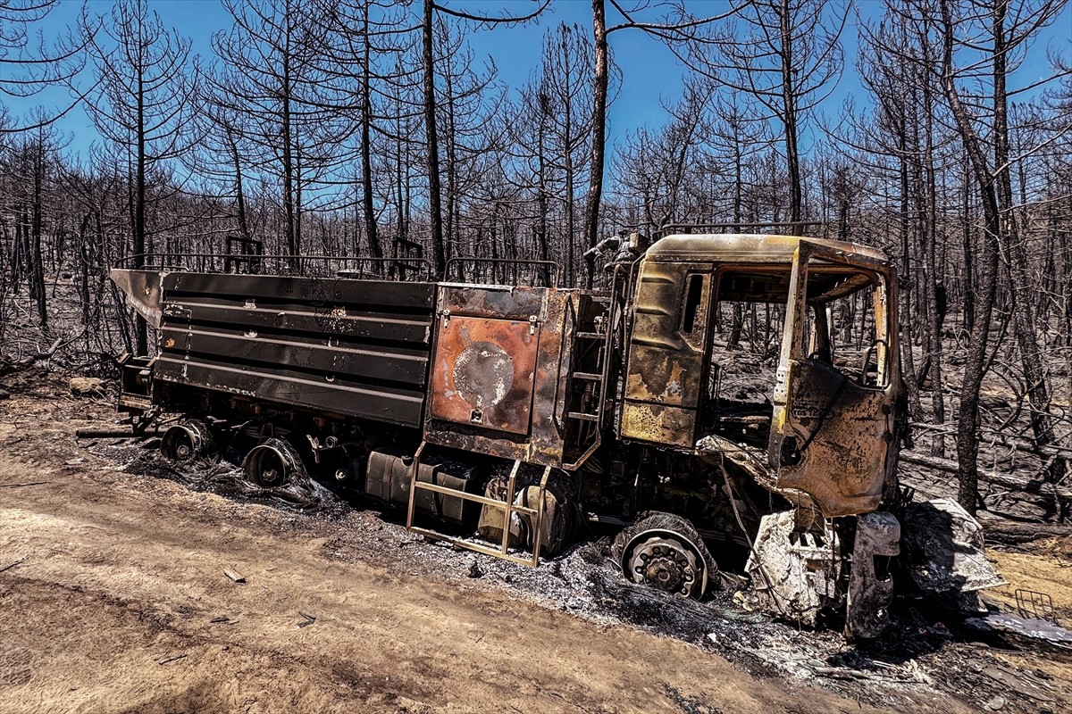 Eskişehir'in Seyitgazi ilçesinde başlayan ve Afyonkarahisar'a sıçrayan orman yangınında orman...