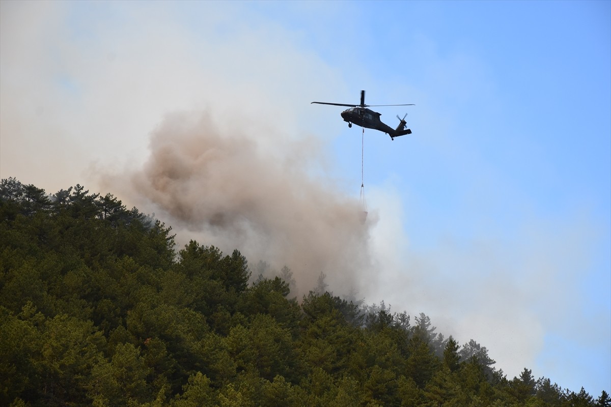 Eskişehir'in Seyitgazi ilçesinde çıkan orman yangınına havadan ve karadan müdahale ediliyor.