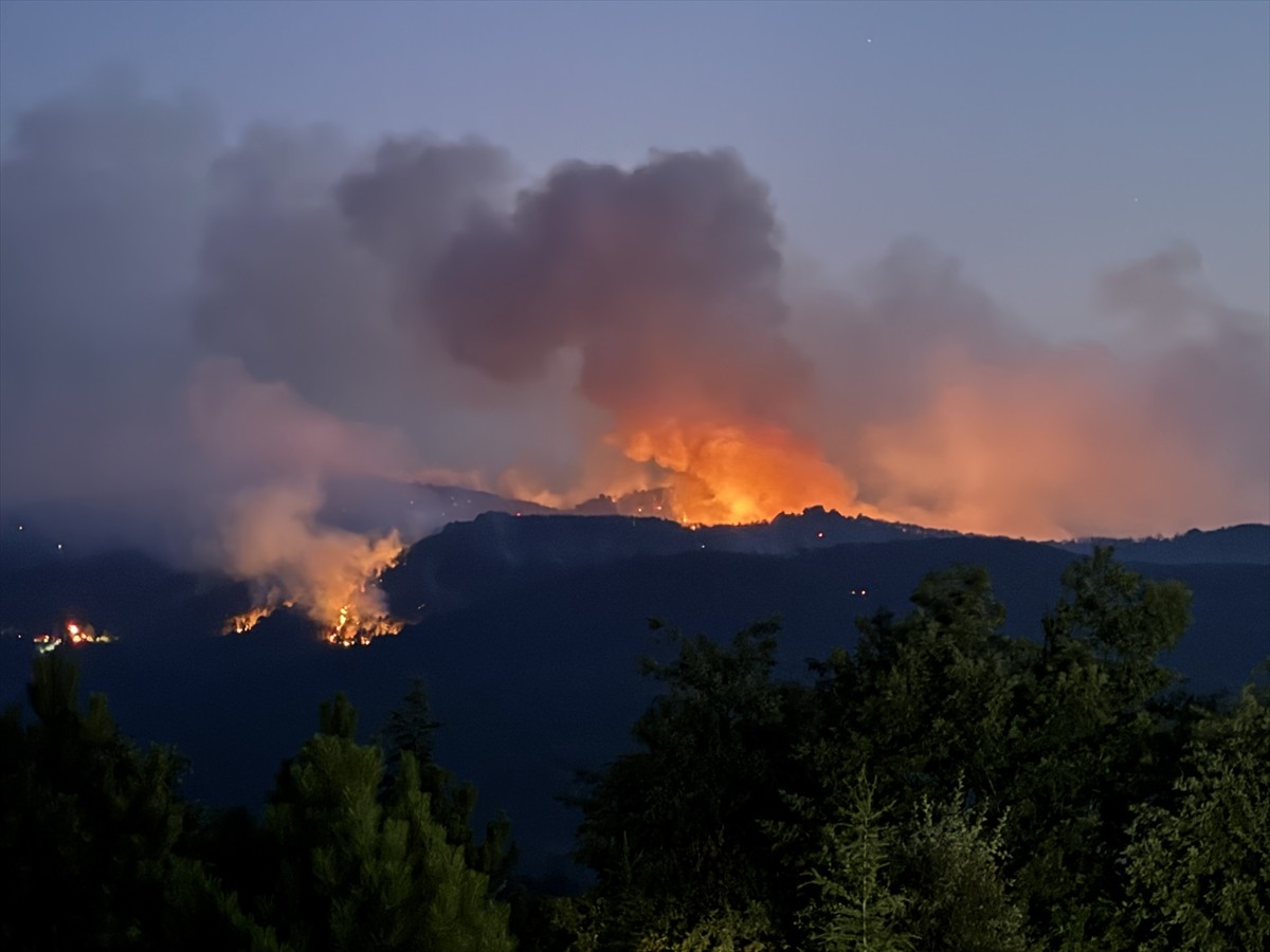 Eskişehir'in Seyitgazi ilçesinde çıkan orman yangınına havadan ve karadan müdahale ediliyor.