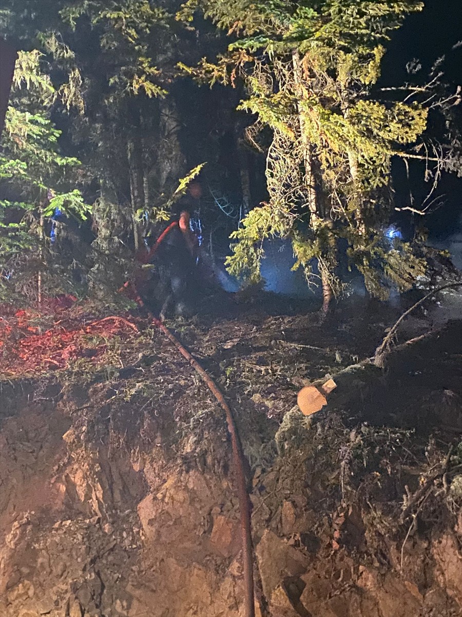 Gümüşhane'de ormanlık alanda çıkan yangın, itfaiye ekiplerinin müdahalesiyle söndürüldü.