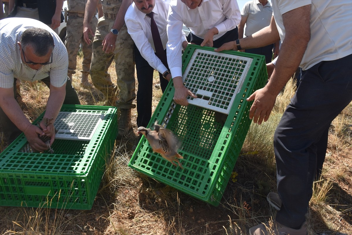 Gümüşhane'nin Kelkit ilçesinde, Doğa Koruma ve Milli Parklar Genel Müdürlüğü bünyesinde faaliyet...