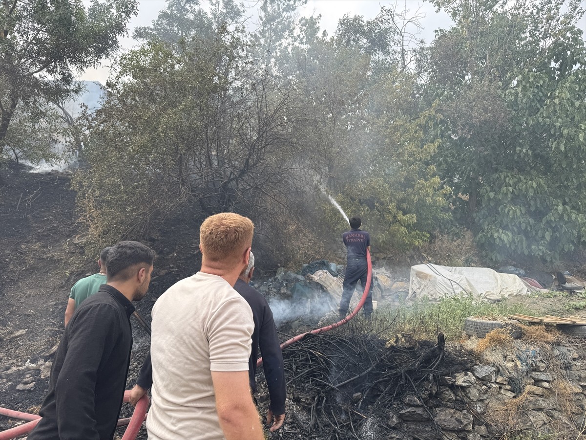 Hakkari'de ağaçlık alanda çıkan yangın, evlere sıçramadan kontrol altına alındı.