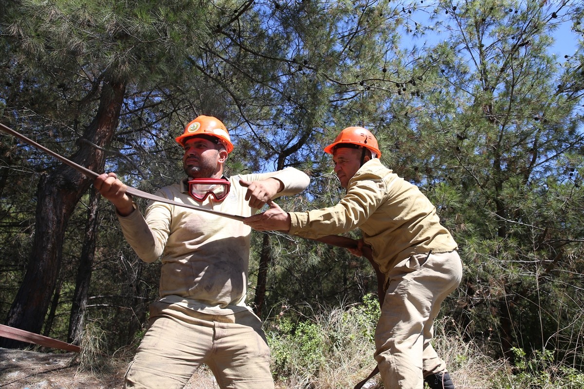 Hatay'ın Dörtyol ilçesinde kısmen kontrol altına alınan yangında görevli orman ekipleri, "yeşil...
