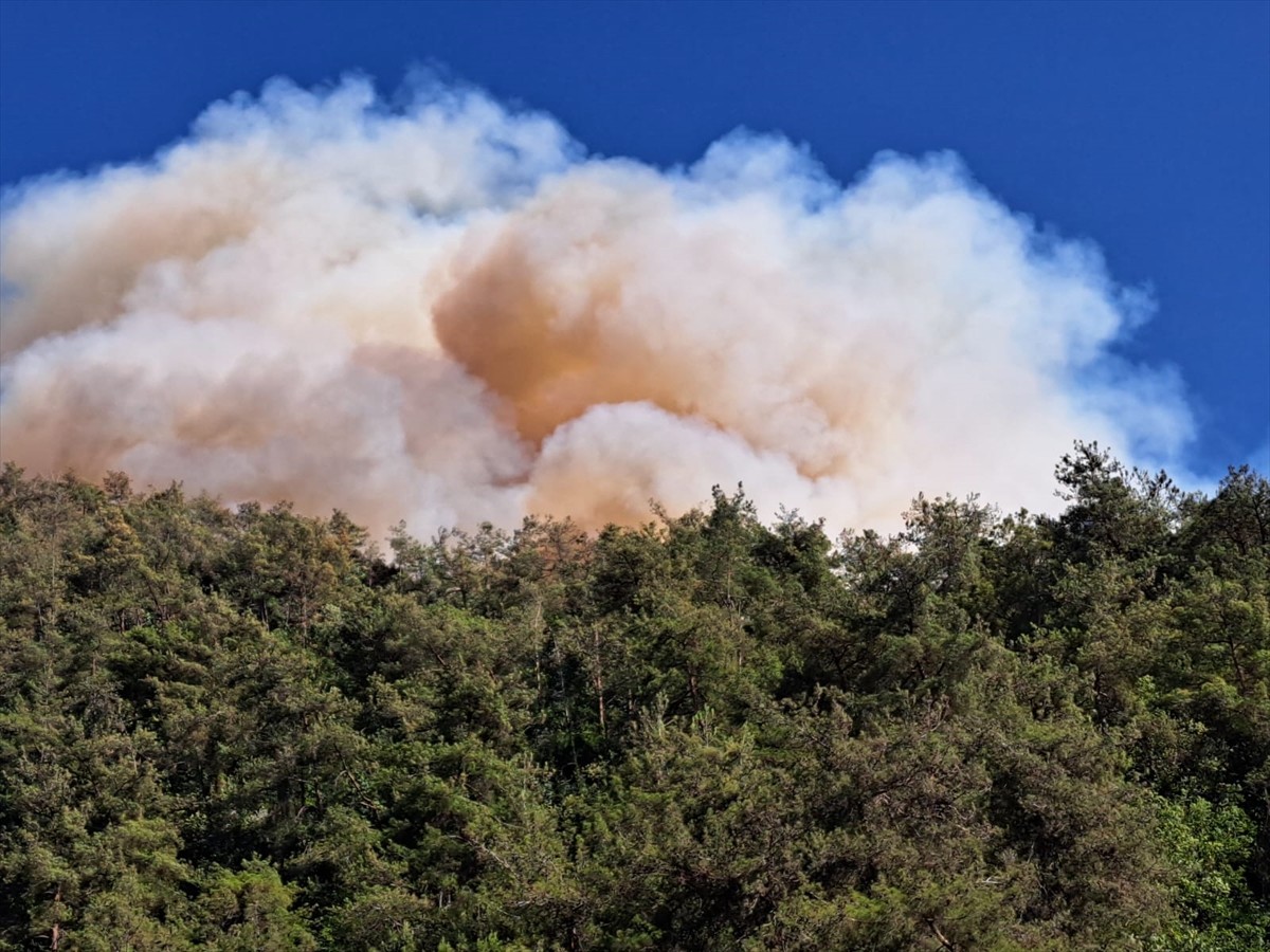 Hatay'ın Dörtyol ilçesinde yerleşim yerlerine yakın noktada çıkan orman yangınına müdahale...