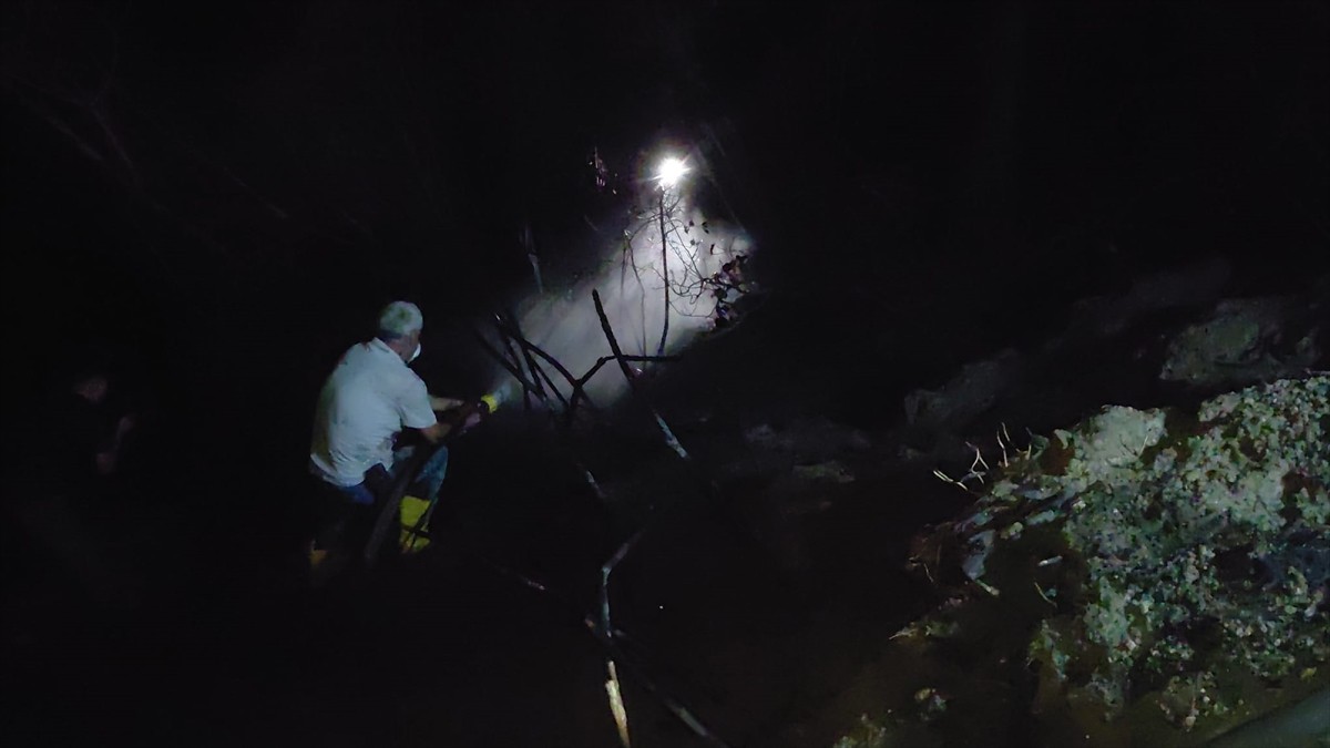 Hatay'ın Samandağ ilçesinde çıkan örtü yangını söndürüldü.