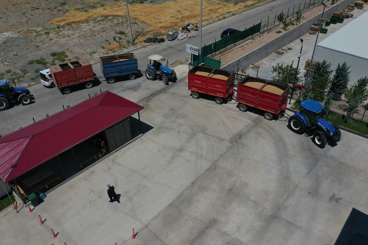 Iğdır’da yeni kurulan ve alımlara başlayan depolama tesisi, kentin hububat üretimine güç...
