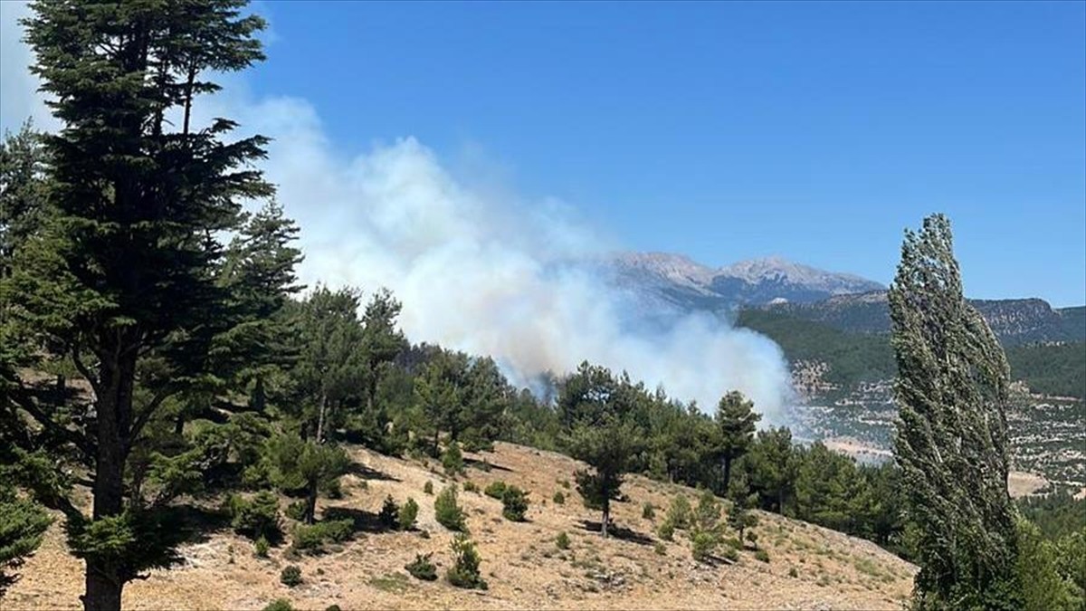   Isparta'nın Sütçüler ilçesinde çıkan orman yangınına müdahale ediliyor.