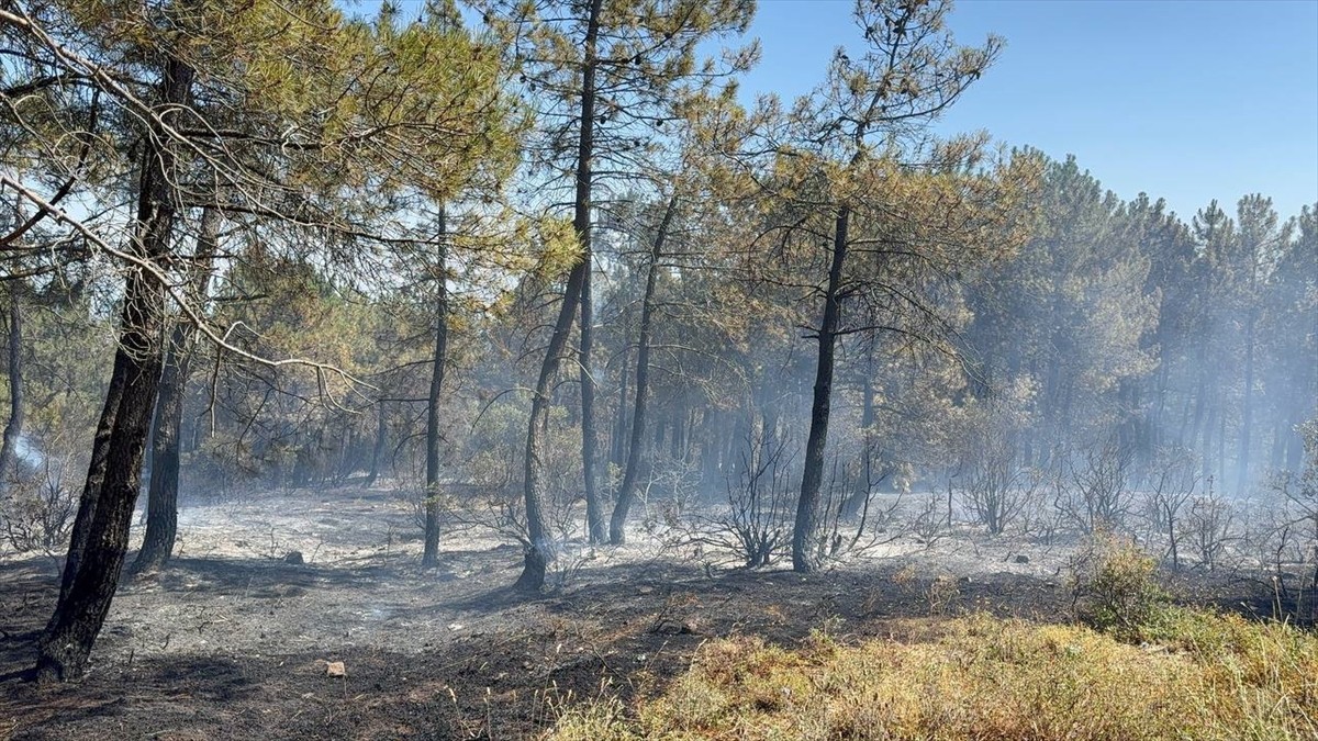  İstanbul'da Aydos Ormanı'nda çıkan yangın havadan ve karadan itfaiye ekiplerinin müdahalesiyle...