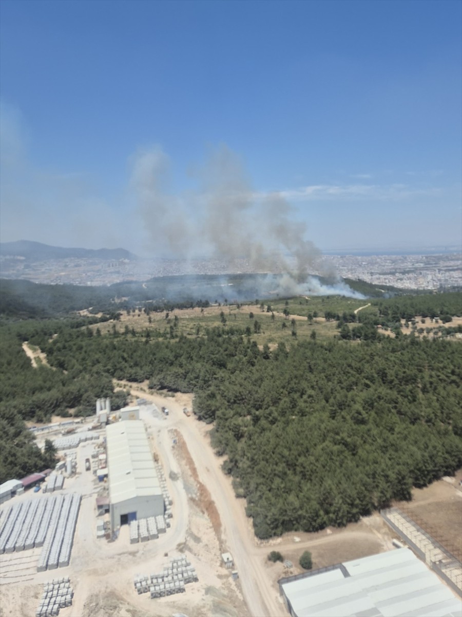 İzmir'in Buca ilçesinde çıkan orman yangınına havadan ve karadan müdahale ediliyor.