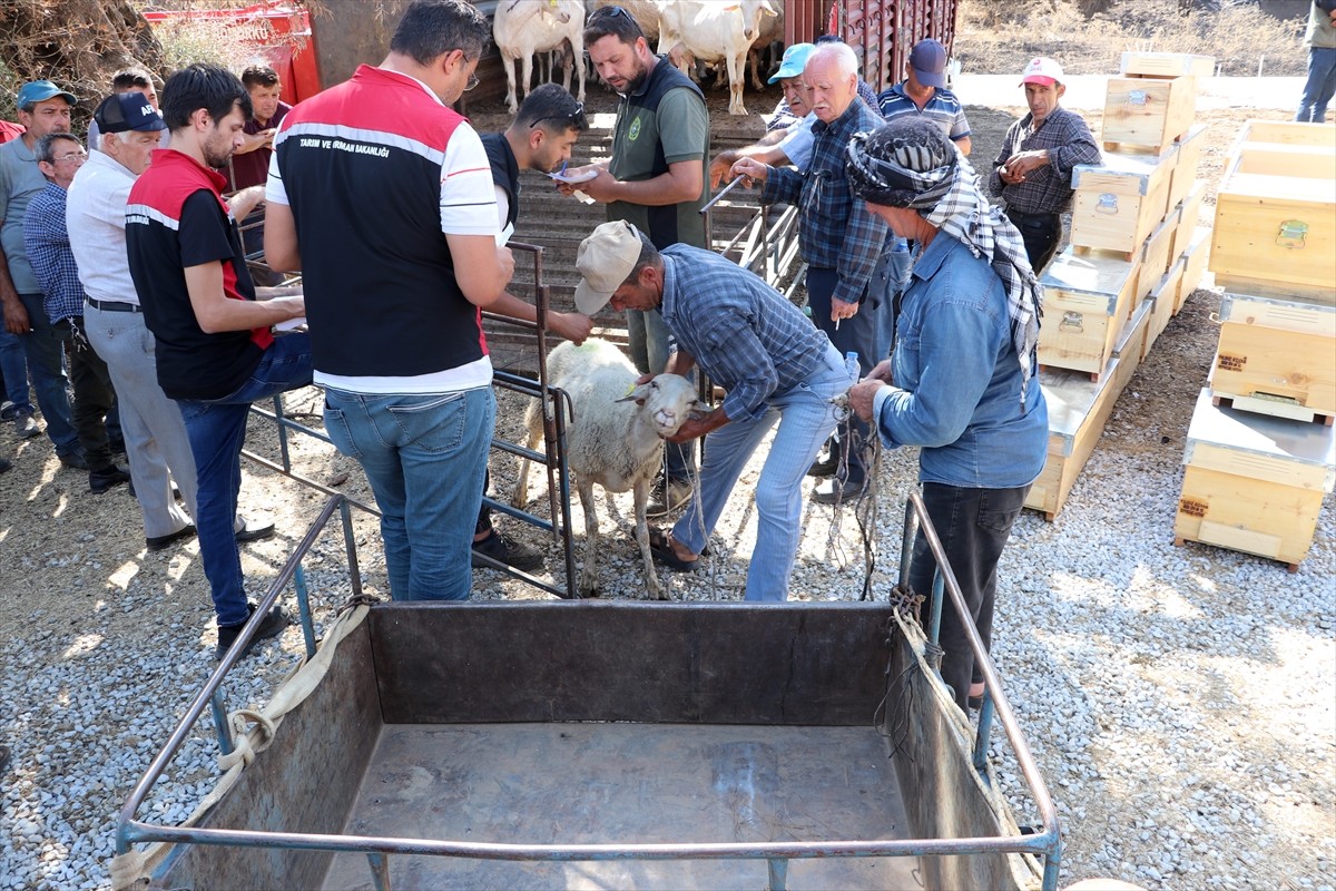 İzmir'in Ödemiş ve Seferihisar ilçelerinde orman yangınlarında zarar gören vatandaşların telef...