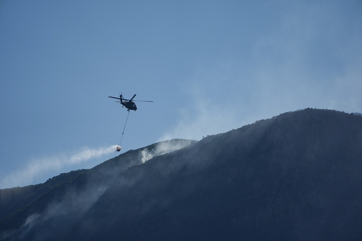 İzmir'in Seferihisar ve Menderes ilçelerinde 29 Haziran'da çıkan orman yangınlarına havadan ve...
