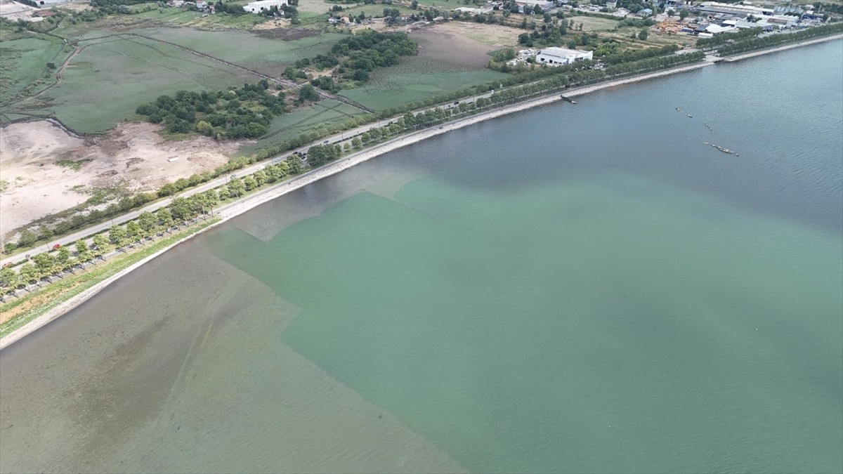 İzmit Körfezi'nde biyoçeşitliliğin korunması amacıyla başlatılan çalışma kapsamında şu ana kadar...
