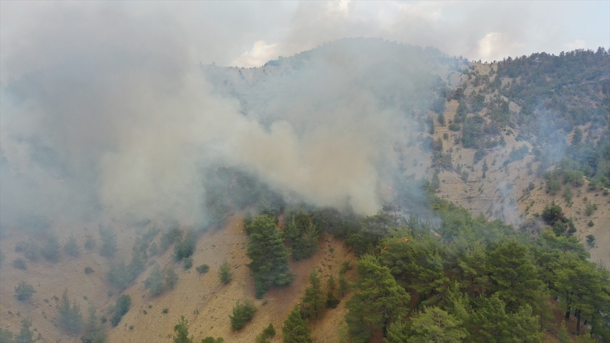 Kahramanmaraş'ın Onikişubat ilçesinde dün çıkan orman yangınına havadan ve karadan müdahale devam...