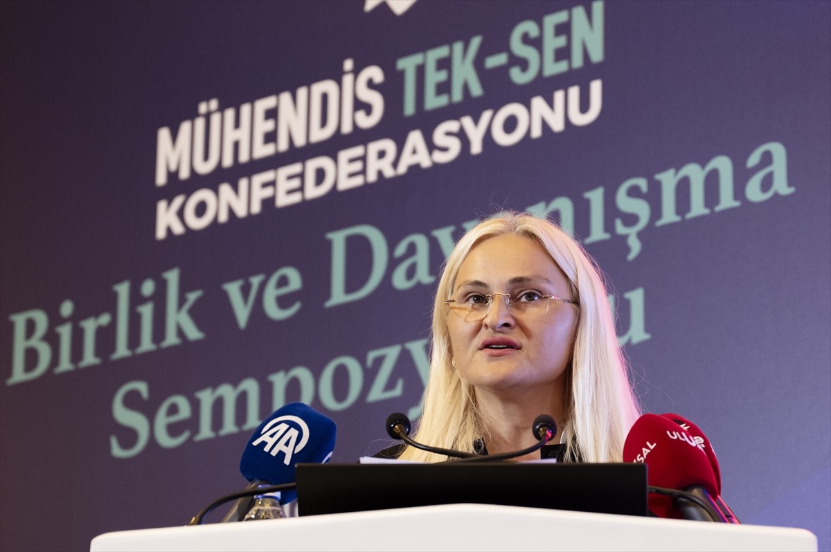 Kamu kurumlarındaki mühendis, mimar, şehir plancı ve teknik hizmet personelinin örgütlü bulunduğu...