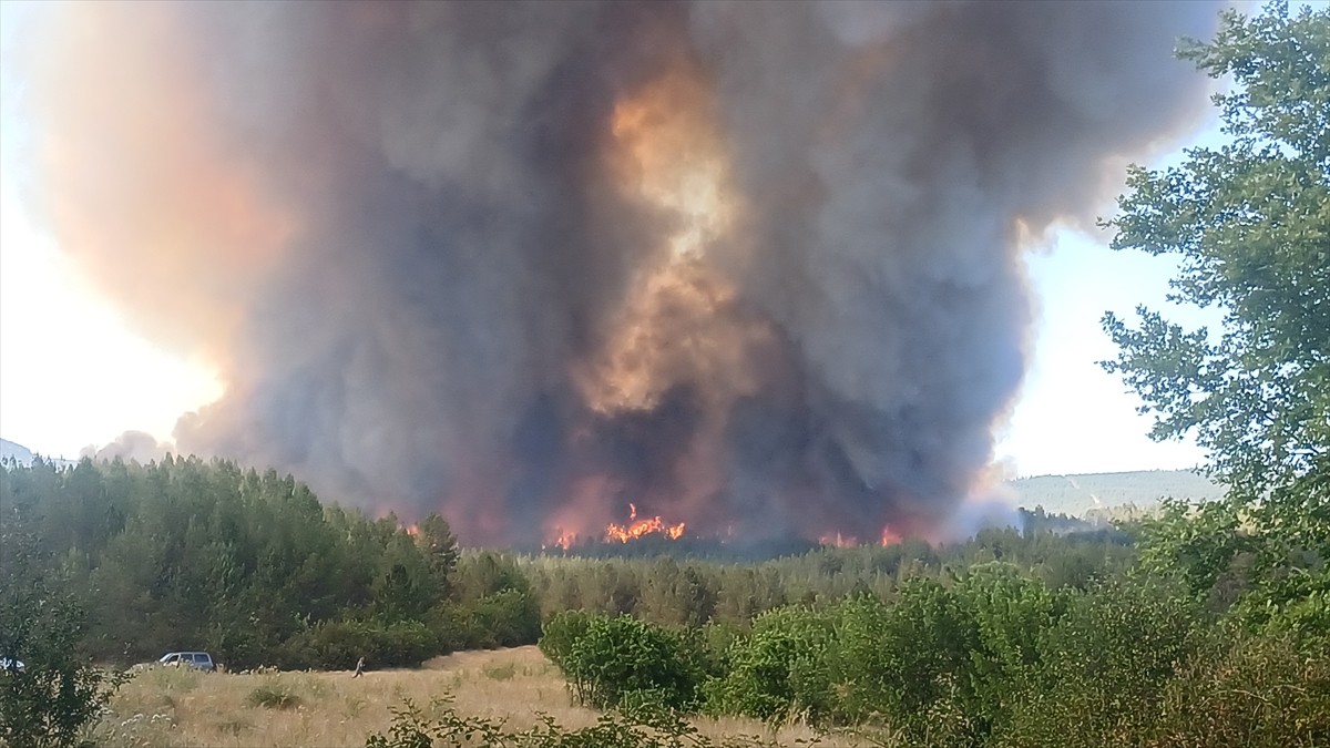 Karabük'te ormanlık alanda çıkan yangın havadan ve karadan müdahaleyle söndürülmeye...