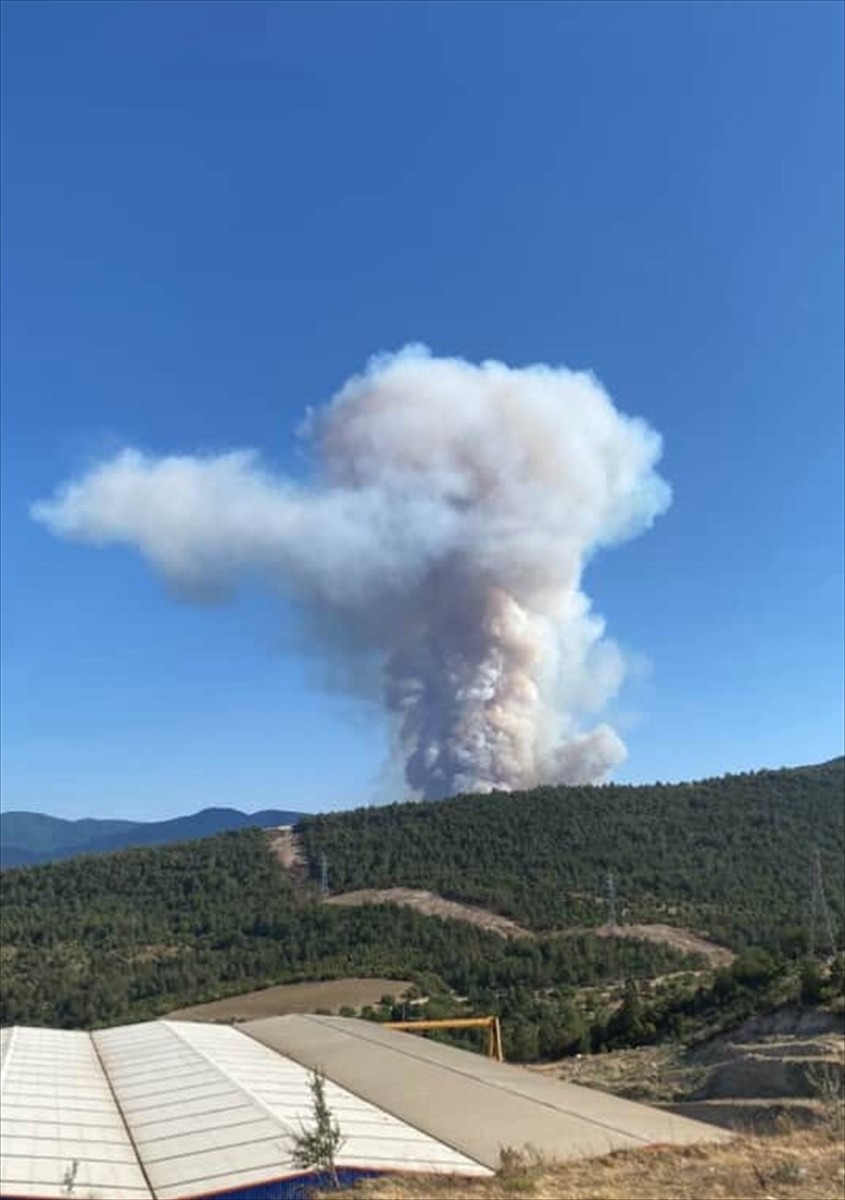 Karabük'te ormanlık alanda çıkan yangın söndürülmeye çalışılıyor.