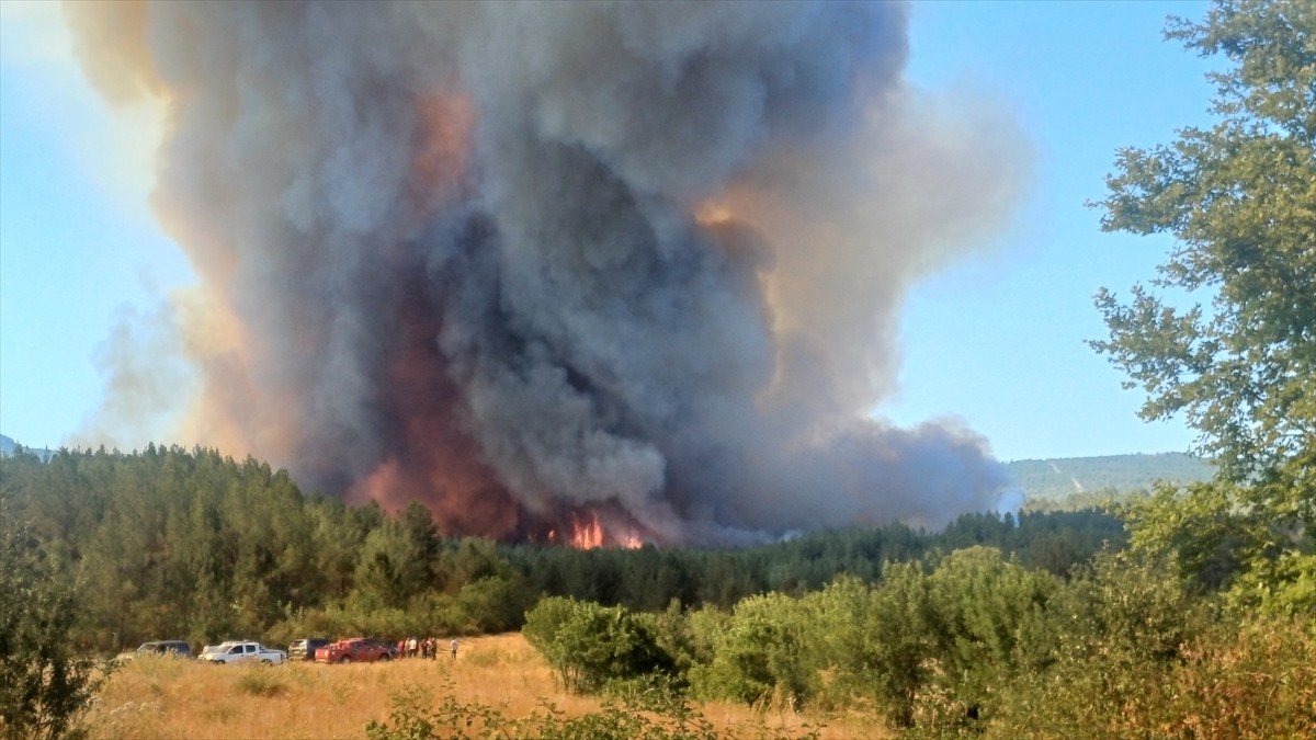 Karabük'te ormanlık alanda çıkan yangın söndürülmeye çalışılıyor.