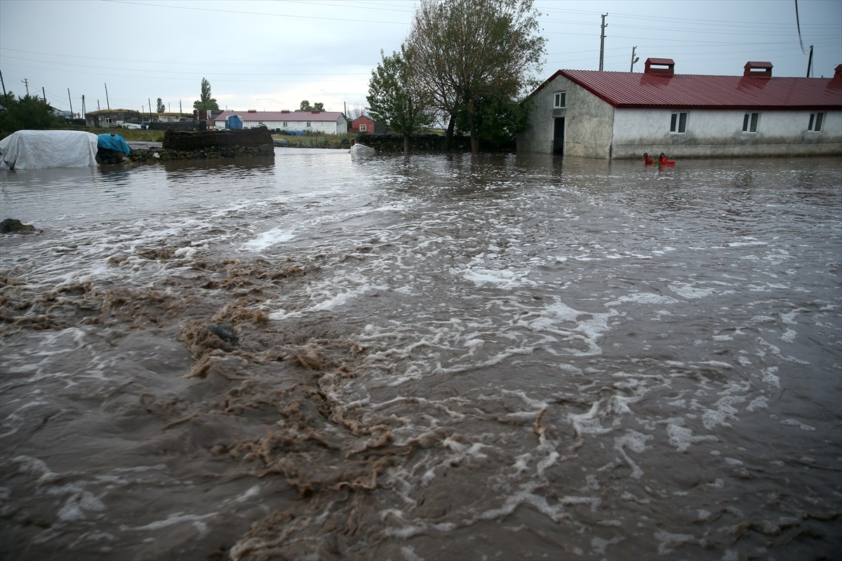 Kars'ta etkili olan dolu ve şiddetli sağanak nedeniyle meydana gelen selde hayvanlar telef oldu...