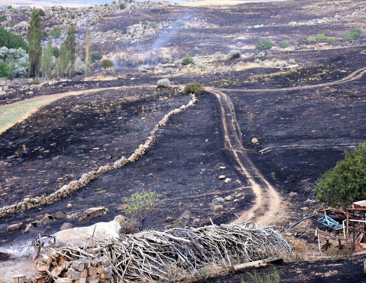 Kırıkkale'nin Çelebi ilçesinde anızda başlayıp köydeki ahırlara sıçrayan yangın kontrol altına...