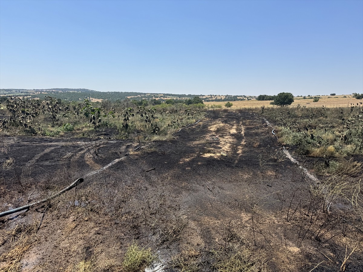 Kırklareli'nde çıkan yangında 20 dekar alandaki ceviz ağaçları yandı.
