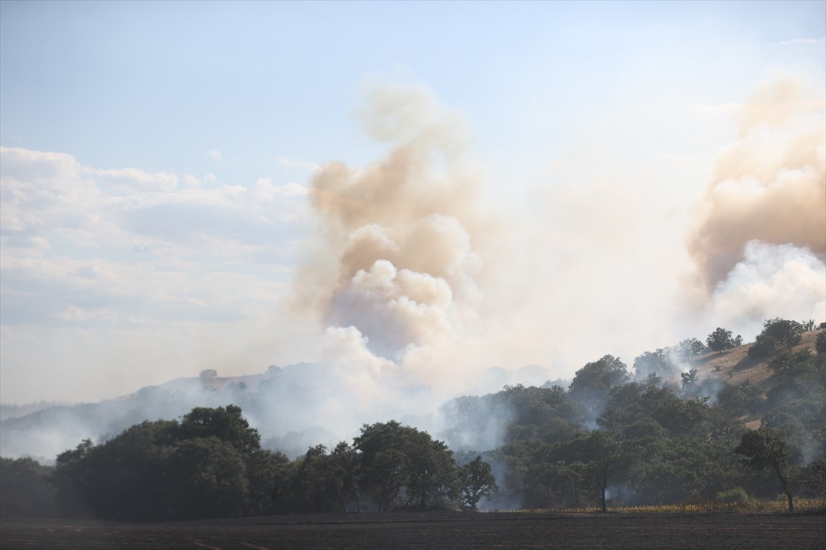 Kırklareli'nin Kofçaz ilçesinin Kocatarla köyünde çıkan orman yangınına müdahale...