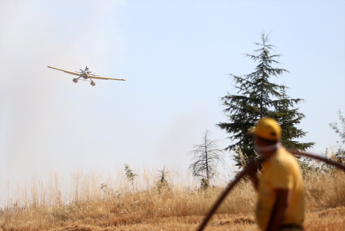 Kırklareli'nin Yündalan köyünde anızdan başlayıp ormana sıçrayan yangına müdahale...