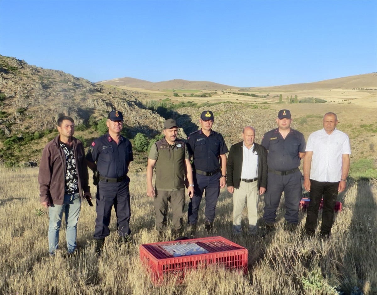 Kırşehir'de keneyle mücadele amacıyla Doğa Koruma ve Milli Parklar (DKMP) Şube Müdürlüğünce doğaya...