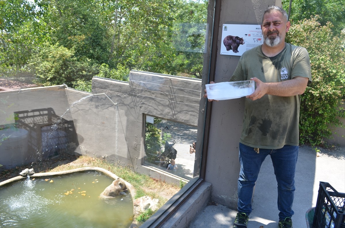 Kocaeli'nin Darıca ilçesindeki hayvanat bahçesinde, sıcak havalarda hayvanları serinletmek için...